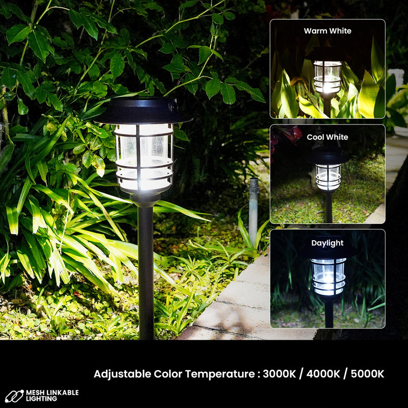6-pack Linkable Pathway Light - Black, Bronze