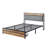 Metal Platform Bed Frame with Velvet Button-Tufted Headboard, 2 Storage Drawers, LED Light & USB Charging Port, Heavy Duty, Brown Wooden Panel, No Box Spring Needed-623376531