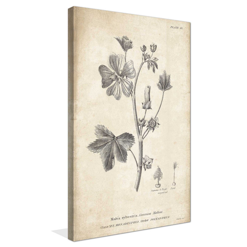 Conversations on Botany 7 - Peinture, L 18 po x H 30 po, Toile tendue