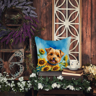 Coussin Norfolk Terrier