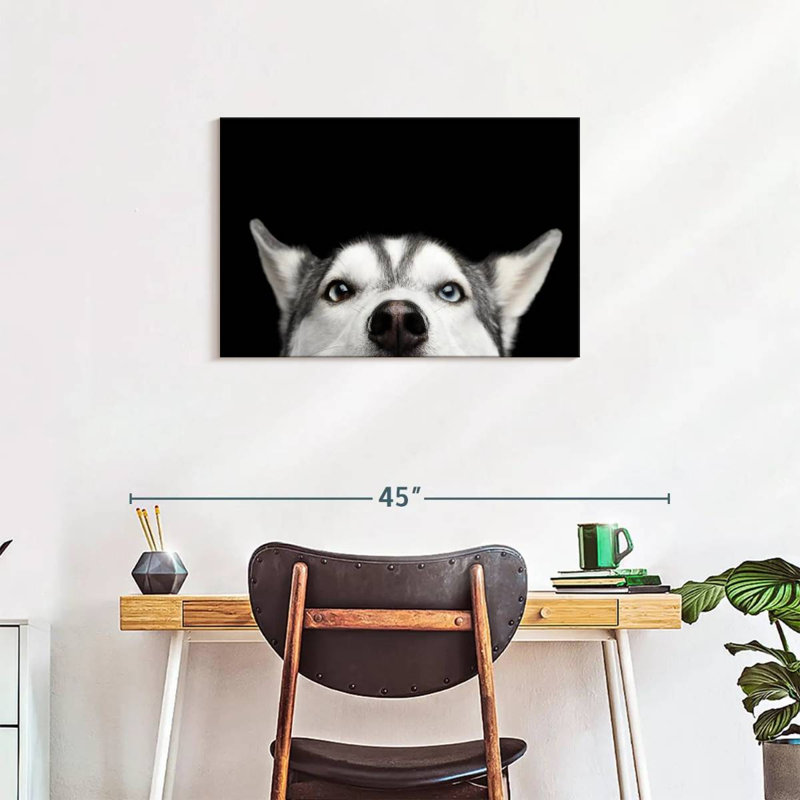 Peeking Siberian Husky, 20" H x 30" W