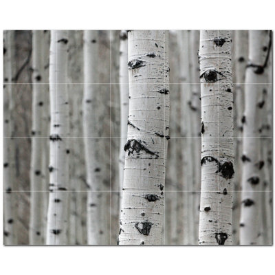 Photo d'arbres 12 po x 12 po