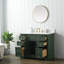 Thompson 42" W Single Bathroom Vanity-1194537071