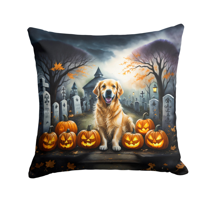 Other/No Pattern Outdoor Throw Pillow, 14" x 14"