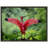 Pink Bird Print - Tropical Nature Wall Art - Flamingo Bird Canvas Poster - Soft Pink Wildlife Artwork - Coastal Tropical Decor - Serene Nature Wall Hanging - Modern Home Decoration Art Print-1636538356-1636538360