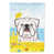 Bouledogue anglais blanc