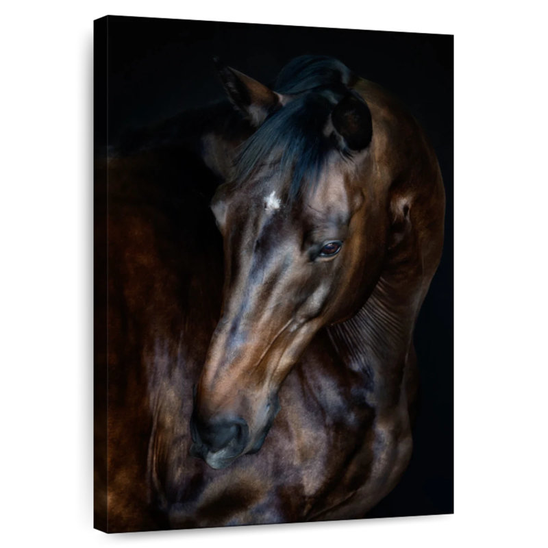 Brampt Sunlit Horses I, 30" H x 20" W