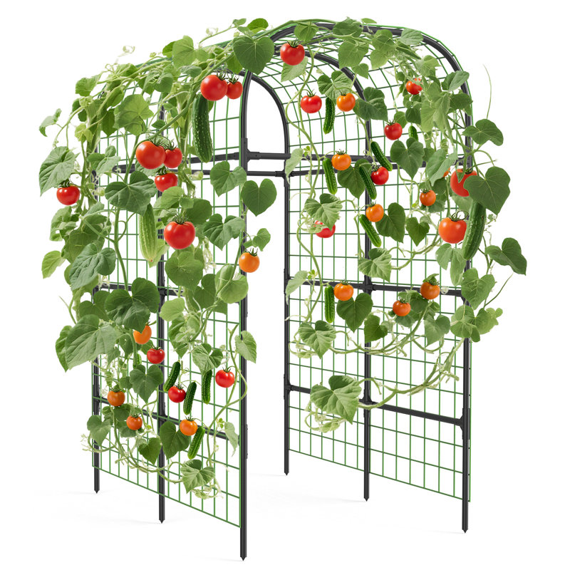 Treillage pour jardin surélevé en métal de 7,3 pi pour supports surélevés, support de plante noire pour concombres, haricots et légumes grimpants