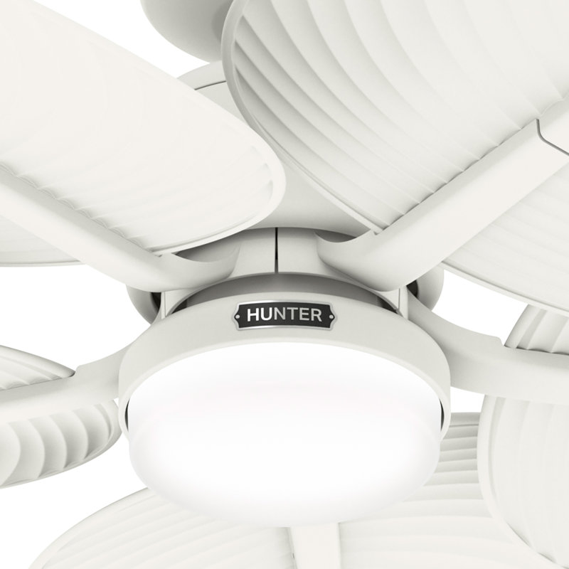 Hunter 52 inch Tropic View Damp Rated Ceiling Fan with Lights and Wall Control, White