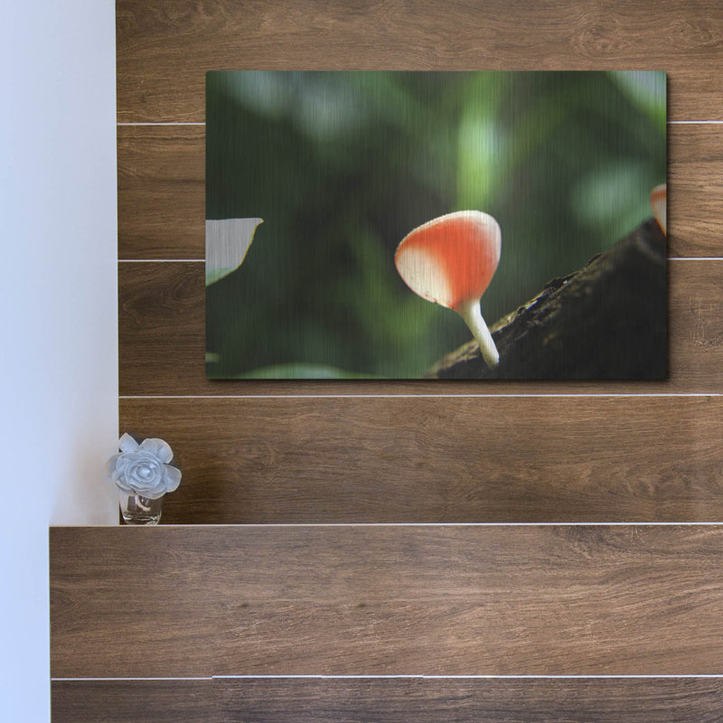 «Fungus 2» par Dana Brett Munach, H 12 po x l 16 po