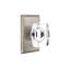Passage Windsor Crystal Knob with Rectangular Rose-1608836606
