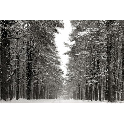 A Snowy Walk IV 1 Piece Wrapped Canvas Wall Art
