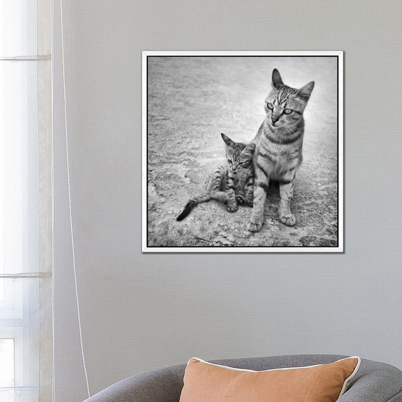 Never Leave Me Alone by Ben Heine - Print on Canvas, White Framed, 66.04 cm H x 66.04 cm W