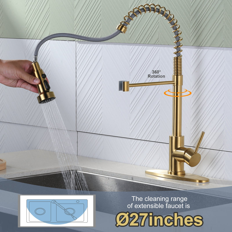 WOWOW Pull Out Kitchen Faucet, Gold