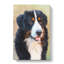 Bermese Mountain Dog - Wrapped Canvas-61847718