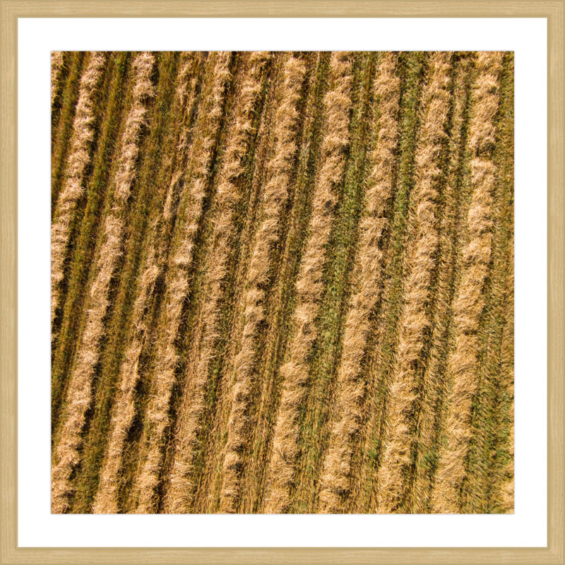 Single Picture Frame Print, 51 cm H x 51 cm W x 3.81 cm D