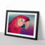 Geometric Scarlet Macaw Parrot in Abstract - Framed Print-55727001-55727004