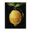 Art abstrait giclée au citron sur une vigne par Emma Caroline-1082170611-1082170608