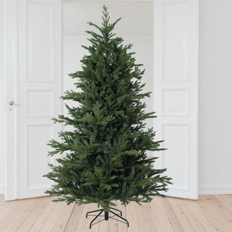 DEL Hillwood Pine, H 7 pi 6 po
