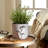 Handcrafted Cement Planter with Textured Tree Trunk Design and Mushroom Accents - Decorative Pot for Indoor and Outdoor Spaces.-108204338