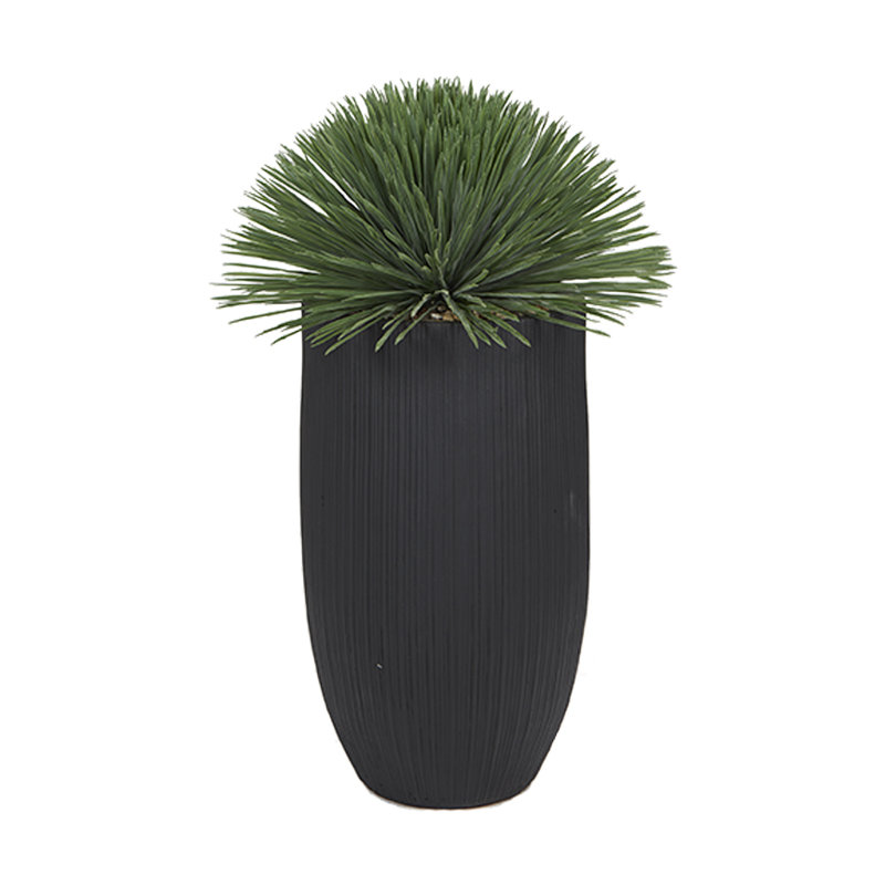Yucca Rostrata in Medium White Nell Planter, 45 po x 27 po, Noir
