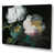 Toile tendue
