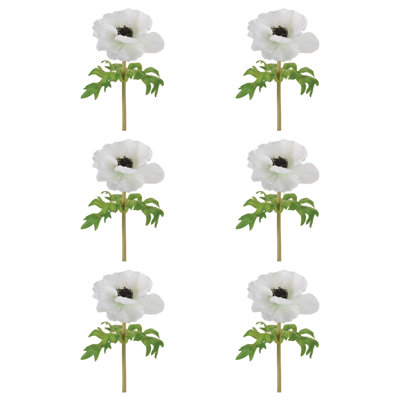 Anémone florale (ensemble de 6)
