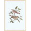 Nesting Navigators Blue 6 Print-1261732912