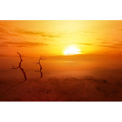 Leolintang - Wrapped Canvas Print