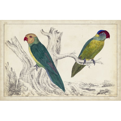 Perroquet paire II - peinture sur toile tendue