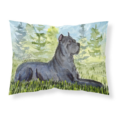 Microfiber