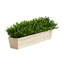 Plante d'eucalyptus artificiel 8 po en pot