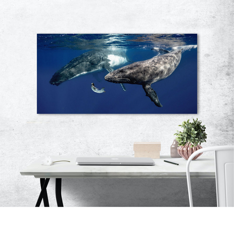 2MR5897 The Daughter of the Sea (Colour) 1 Piece Wrapped Canvas Painting, 50cm H x 100cm W x 4cm D