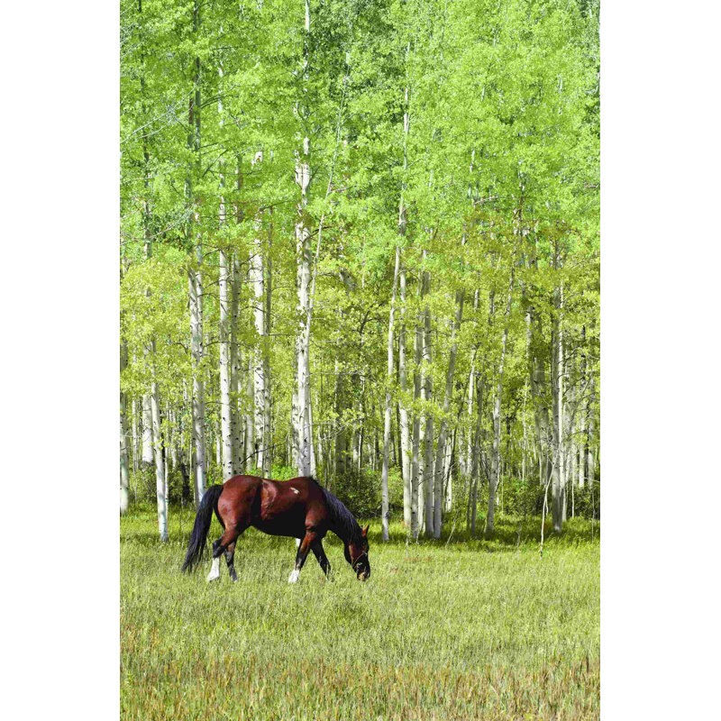 Parmi les trembles de l'été II 2883732, H 18 po x l 12 po, Non, Toile tendue