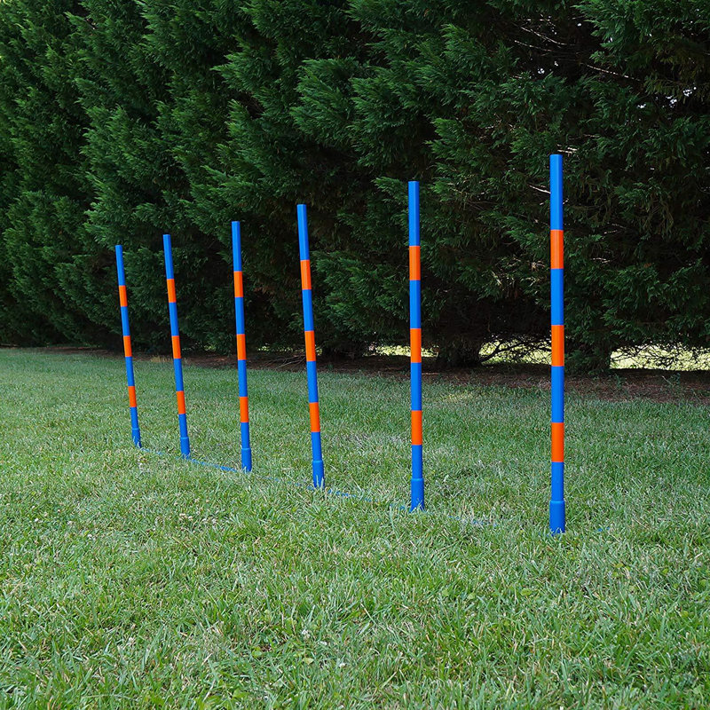 Lord Anson Dog Agility Weave Poles - Ensemble de poteaux de tissage Agility