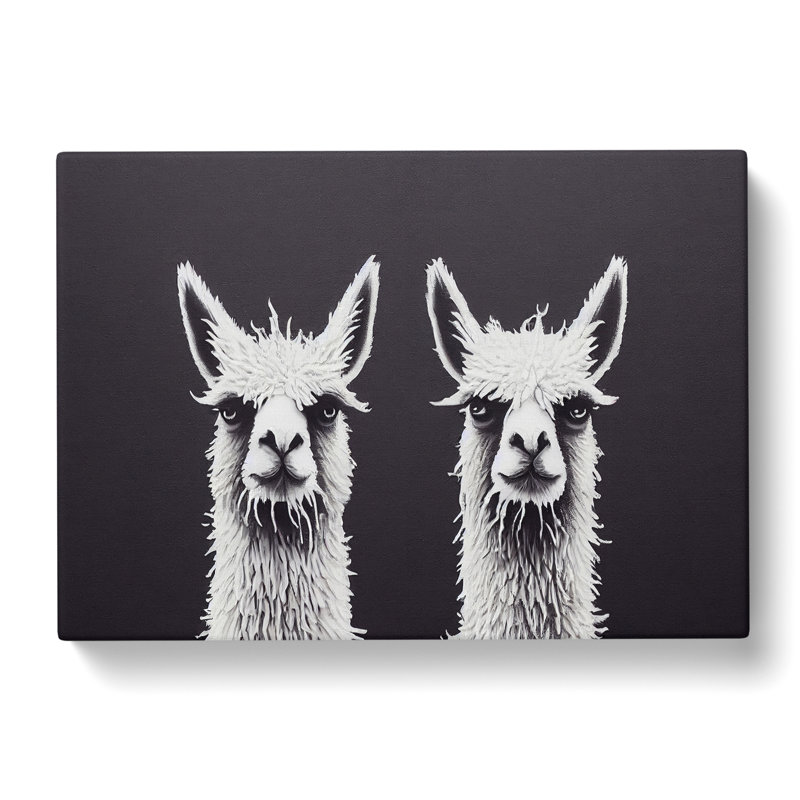 Two Llamas Vol.1 - Wrapped Canvas, 50cm H x 76cm W x 3cm D
