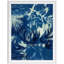 Cyanotype 2 Print by Allison Svoboda-97705536-97705538