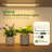 62-Inch 12-Tier Indoor Plant Stand with Grow Lights, Tall Plant Shelf for Living Room and Patio Display