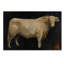 «Beau Crop», reproduction sur toile tendue-33407181