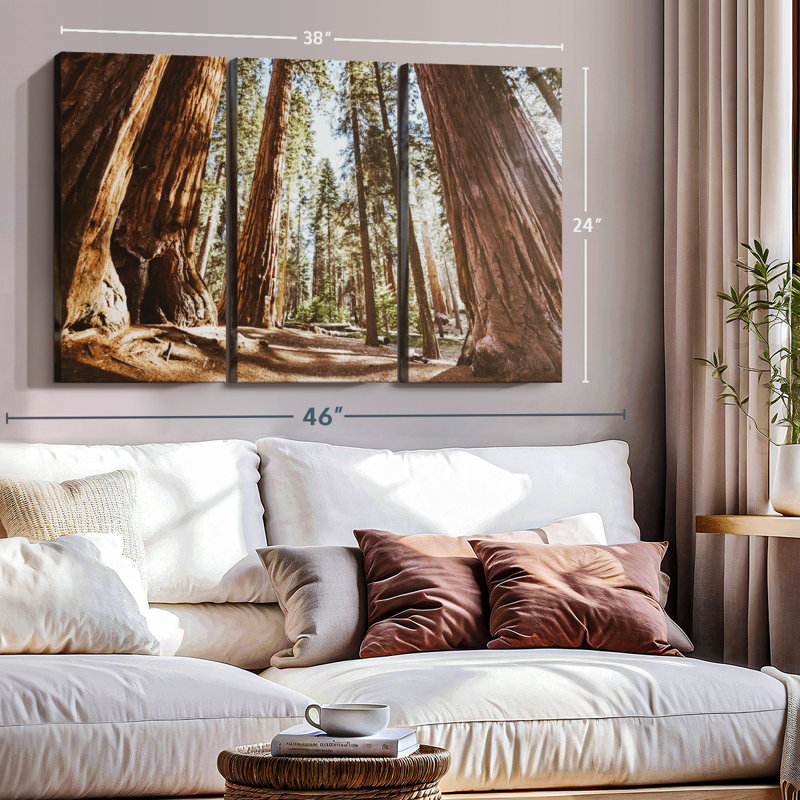 " Summer In Sequoia Park ", 24" H x 38" W x 1.25" D