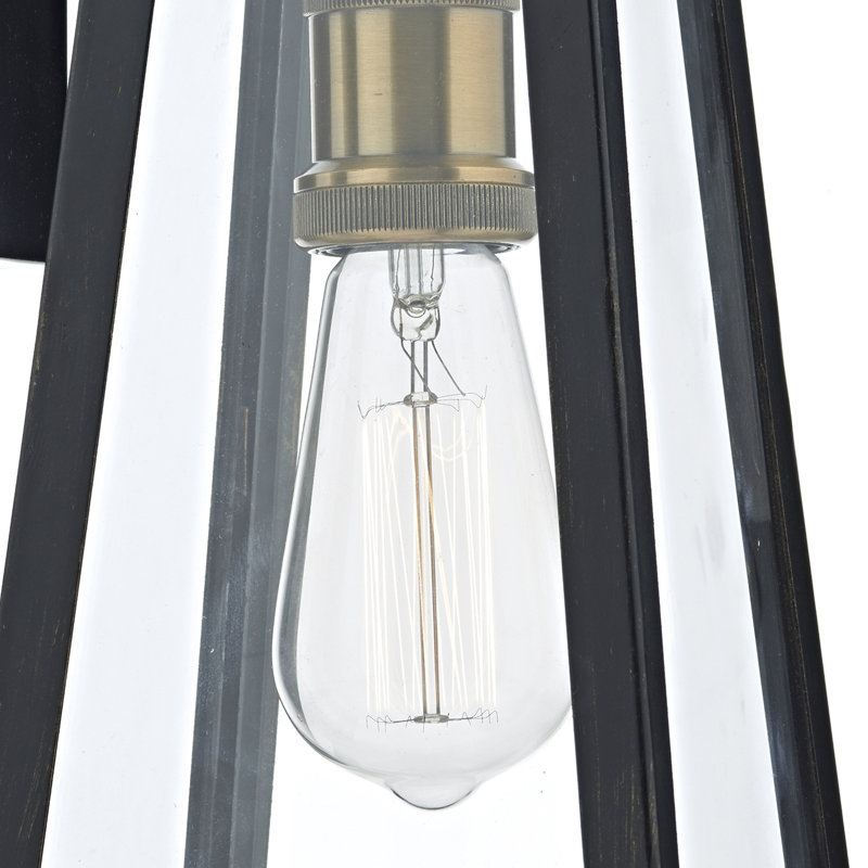 Aagje Black/Clear Plug-in Outdoor Wall Lantern
