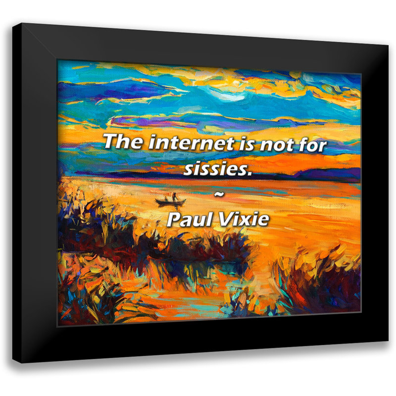 Paul Vixie Citation: Internet n'est pas pour les sissies.