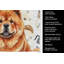 Serviette de cuisine Red Chow Chow-1234934534