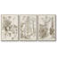 «Sepia Botanical Journal IV», ensemble de 3 reproductions de photos sur toile-97710285-97710288