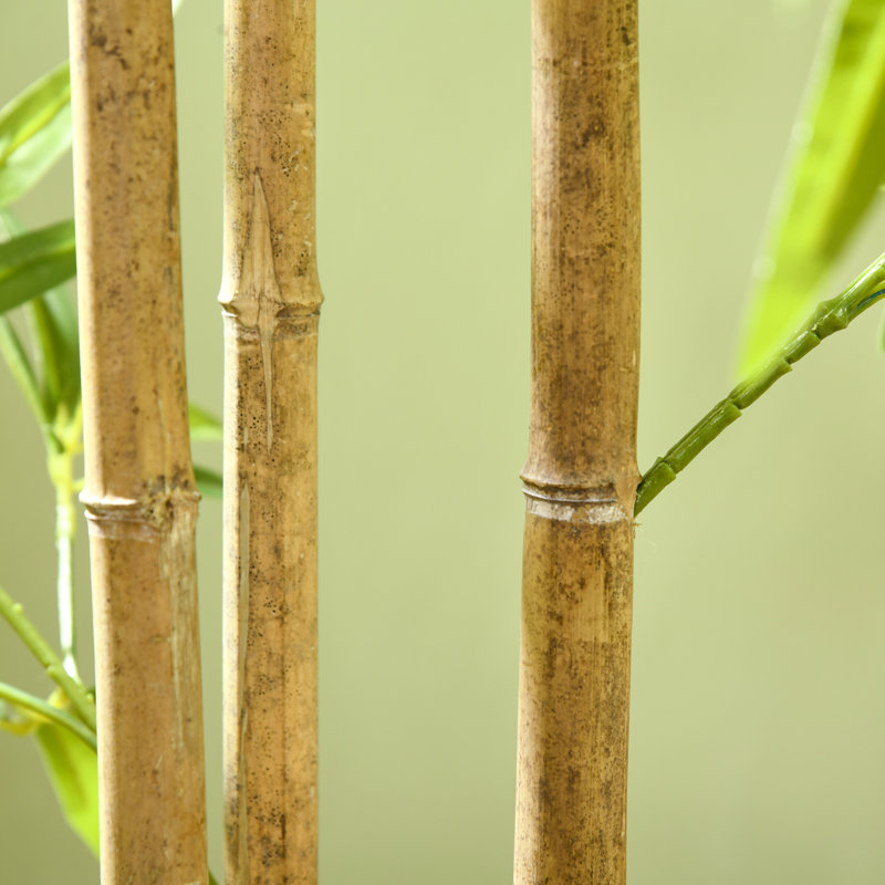 70.75'' Faux Bamboo Tree in Cement Pot