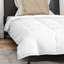Duvet Set With Pillow 2 Pcs White Down-1091893779