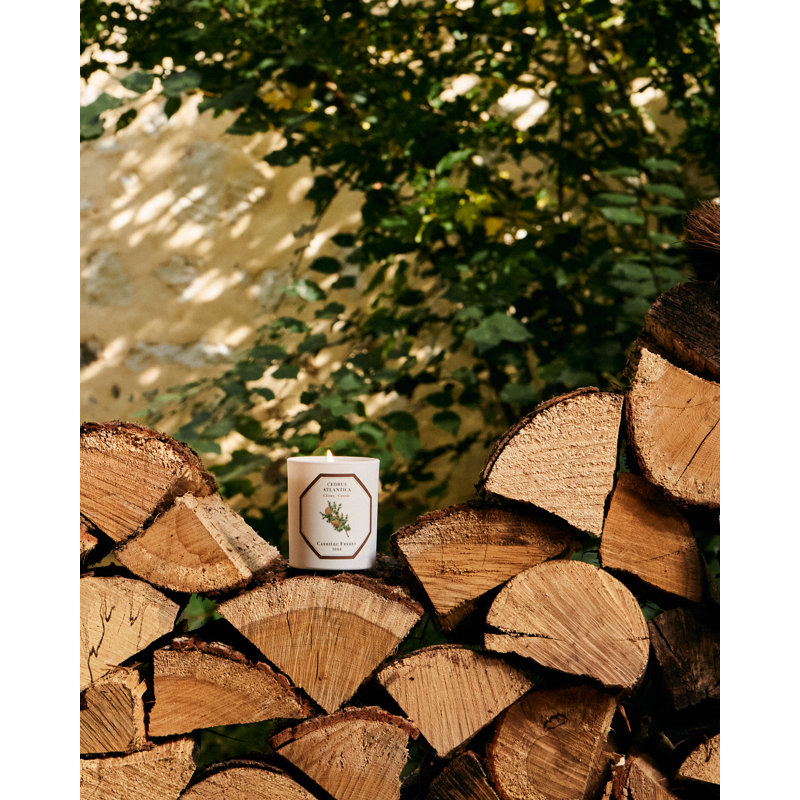 Cedar Candle