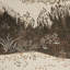 Schumacher X Colette Cosentino Floral Wallpaper by Colette Cosentino-460220047