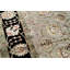 Dania Oriental Area Rug