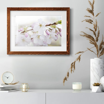 " Signs Of Spring "